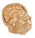 Image 2 Small